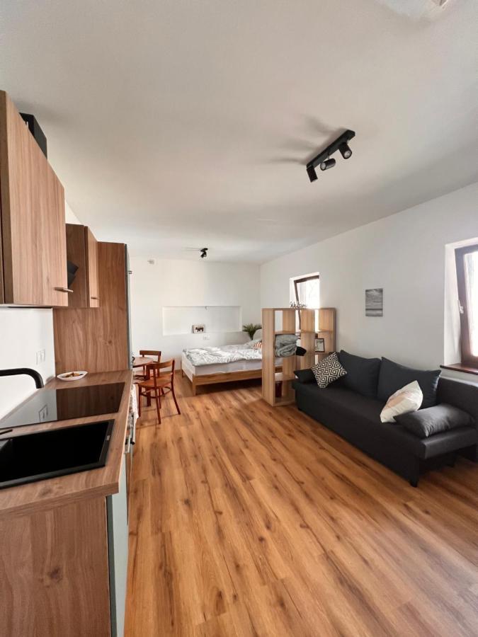 Perfekte Lage! Ganze Wohnung Burgblick Residenz 상트베이트안데르글란 외부 사진